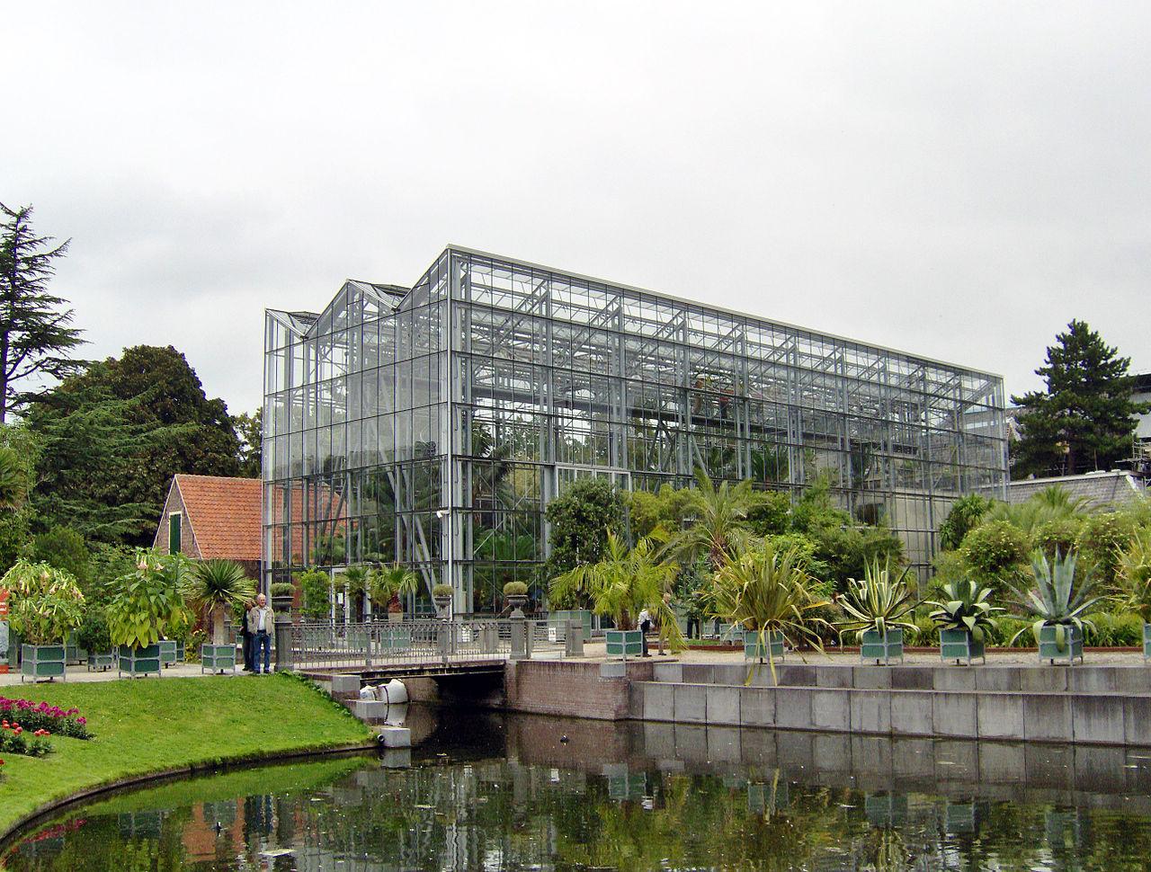 Photo Hortus Botanicus Leiden in Leiden, View, Sights & landmarks - #1
