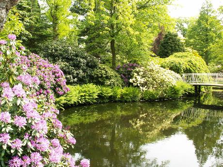 Photo Trompenburg Tuinen & Arboretum in Rotterdam, View, Sights & landmarks, Neighborhood, square, park